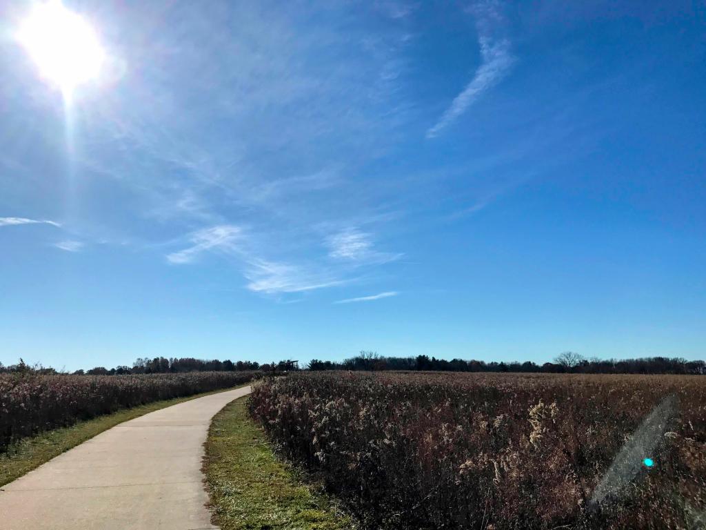 Winding path at Meadowbrook Park, a prairie restoration site. Urbana, IL.